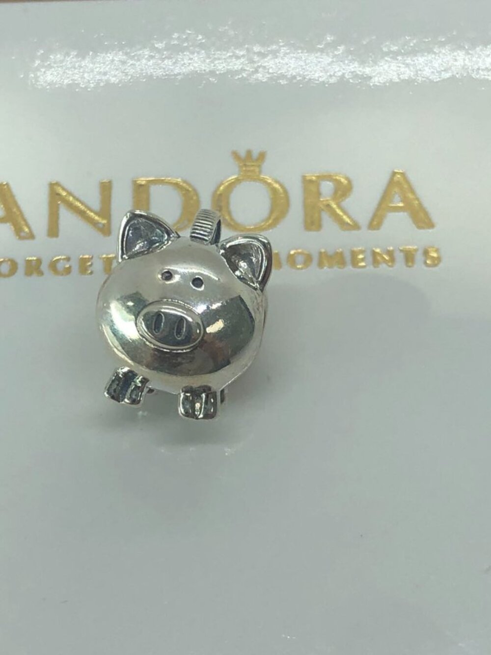 Pandora Cute Piggy Bank Charm